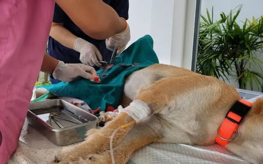 WhatsApp Image 2025-08-29 at 16.22.50 (2).jpeg